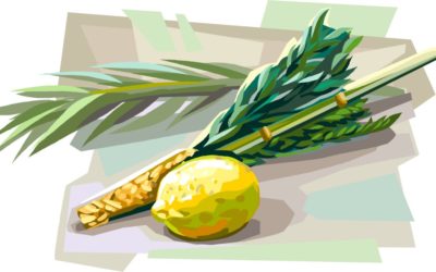 Finding the STEM in Sukkot