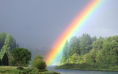 Parshat Noach: Science in the Torah