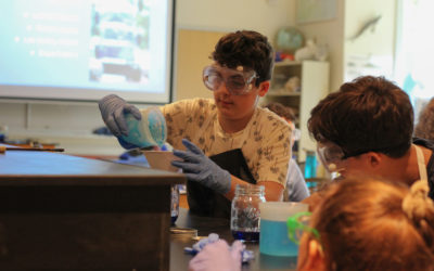 New Summer, New Workshops