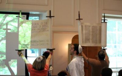 Returning Home to Torah and Taglit