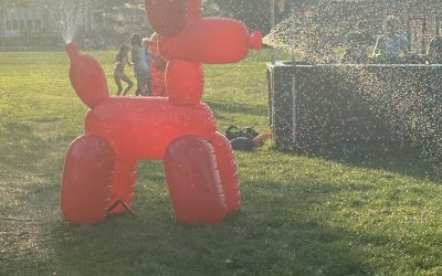 Intersession: Short on Time, Big on Fun