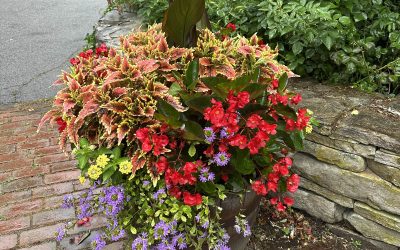 Even when it’s cloudy at camp, chugim keep spirits sunny