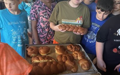 Summer 2025 Reflection