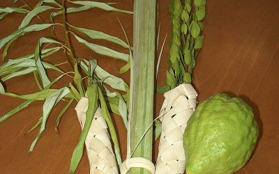 The Lulav, Etrog, and You