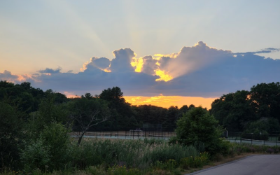 January 2025 – Alumni Newsletter